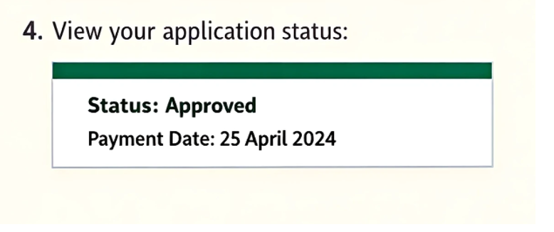 Check your sassa application status