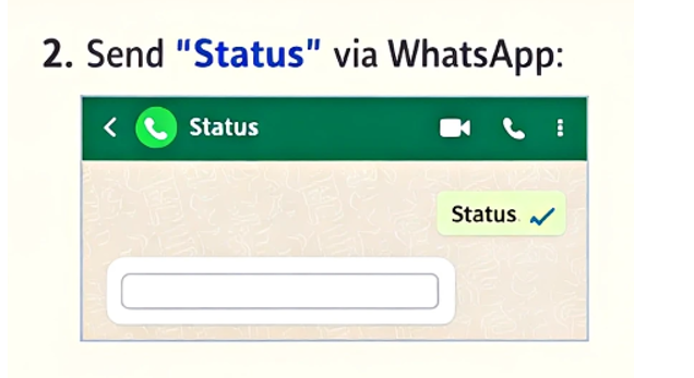 Sassa Whatsapp Status Check