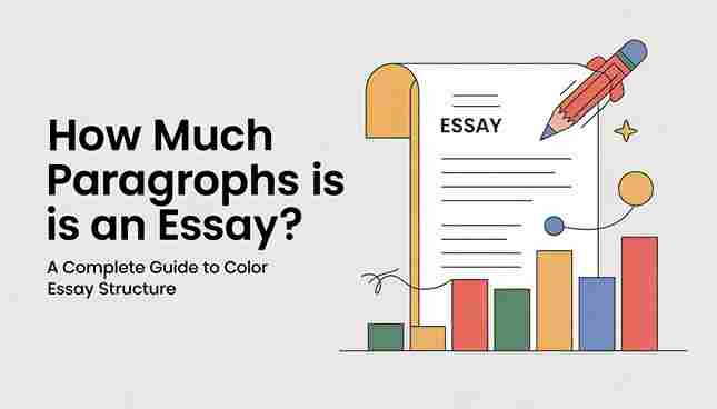 How Much Paragraphs Is an Essay? A Complete Guide to Essay Structure How Much Paragraphs Is an Essay